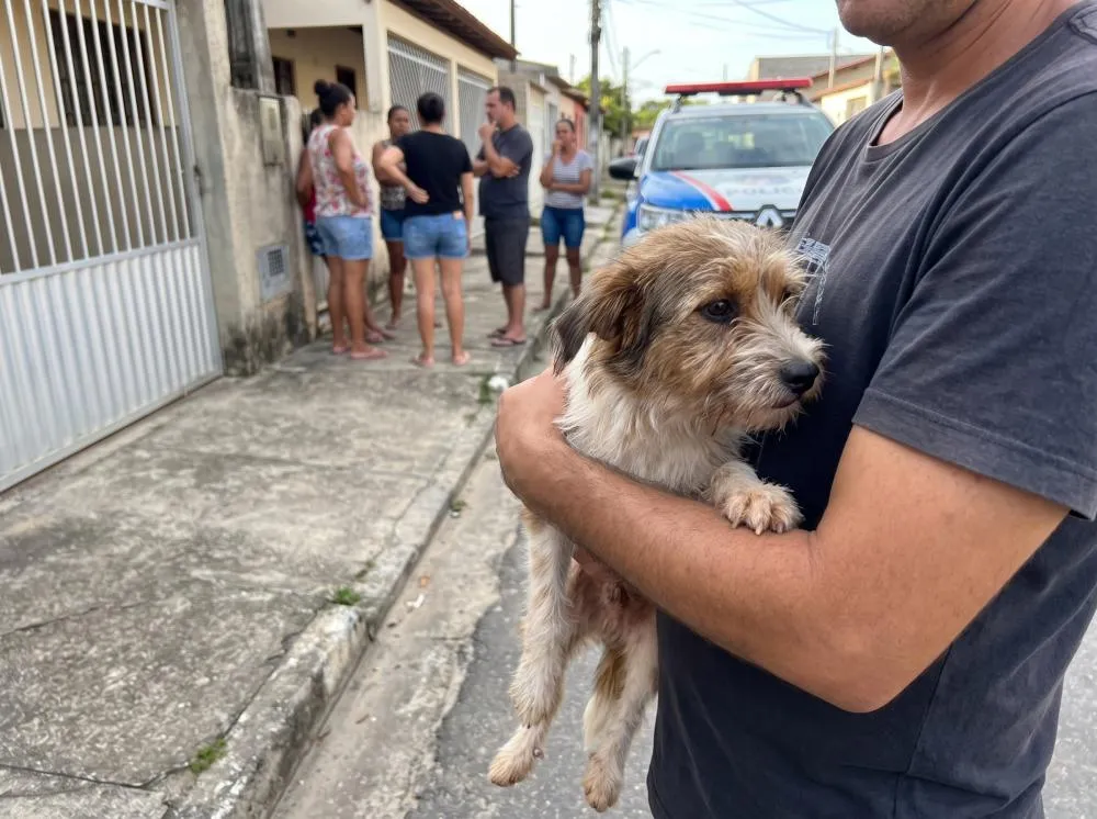 Suspeito foge após ser flagrado agredindo cão em Linhares