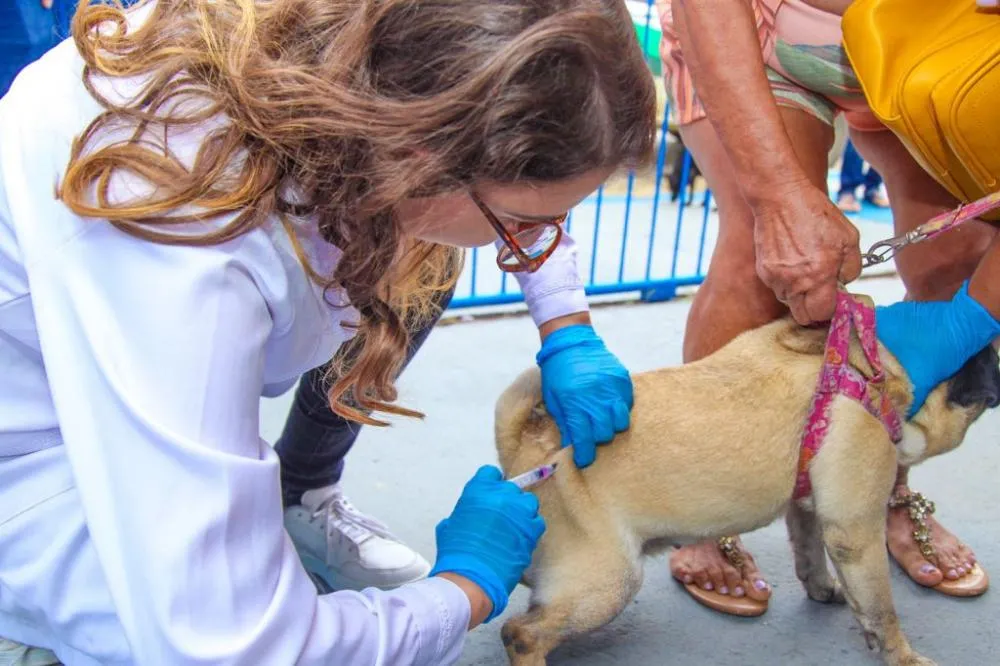 Vacinação antirrábica para cães e gatos acontece hoje nos residenciais Rio Doce e Mata do Cacau em Linhares